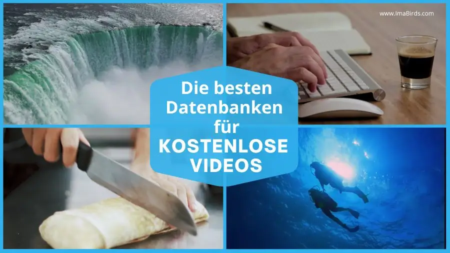 Die besten Datenbanken für kostenlose Stock Videos und Clips-ohne-Linkpflicht